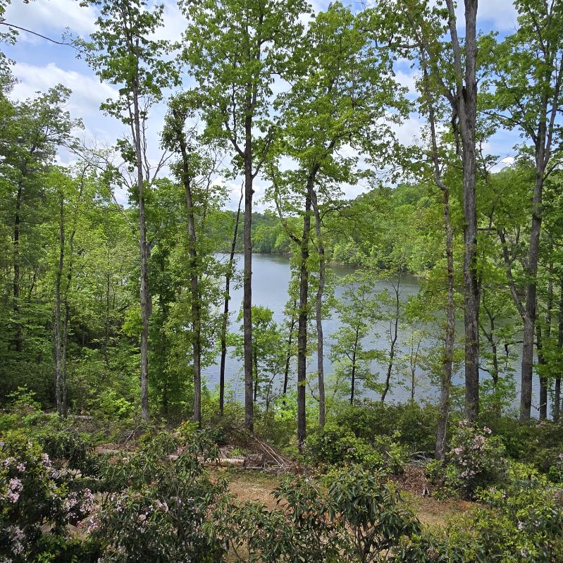 Crystal Lake Studio