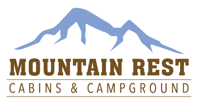 Company Header Logo